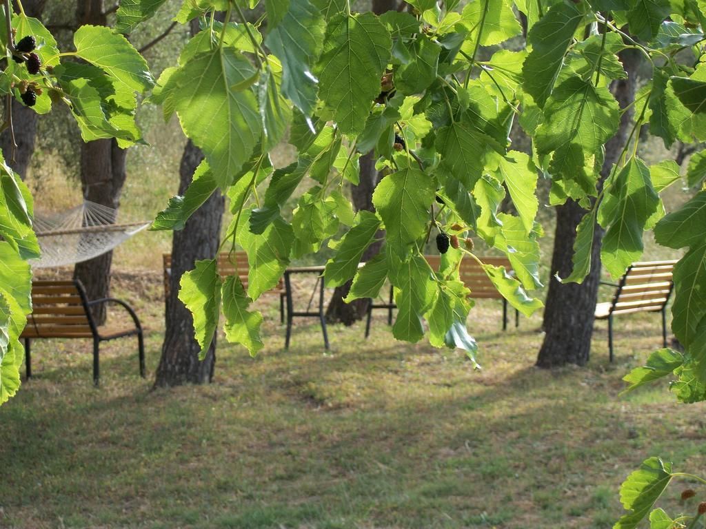 San Piero Patti Le Poiane B&B Vacanze מראה חיצוני תמונה